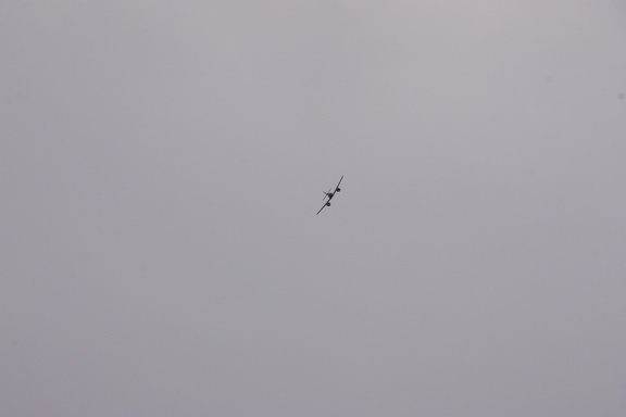 IMG 1391 (229 Besuche) IMG 1391