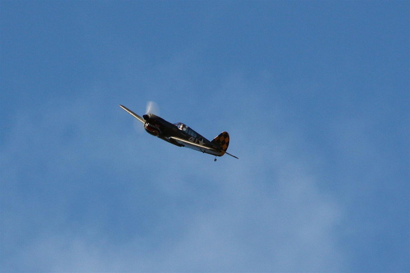 IMG 7884 (217 Besuche) IMG 7884